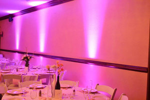 North Carolina Uplighting