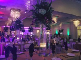 Uplighting at Maestros in the Bronx NY