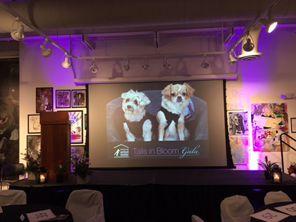 Lighting a Fundraiser Gala