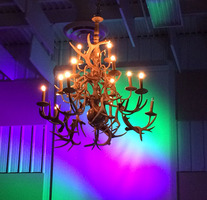 A Northern Lights Effect with Uplighting