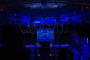 Lighting a Winter Wedding