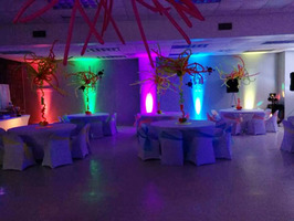 Uplighting in Mississippi