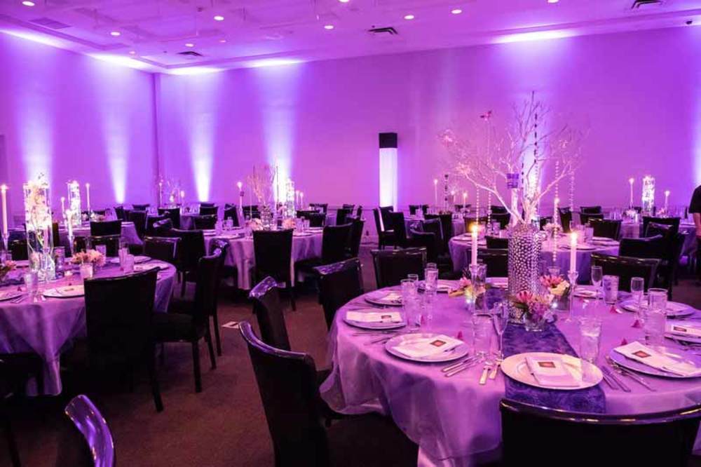 26 Lights at The Saguaro Hotel